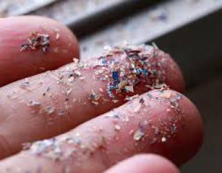 Baca juga : 5 Merek Teh Celup Ini Mengandung Mikroplastik Ini Temuan Peneliti dan Solusinya