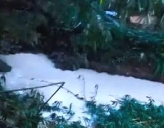 Tangsel Darurat Air Bersih, Sungai Jaletreng Tercemar Zat Kimia