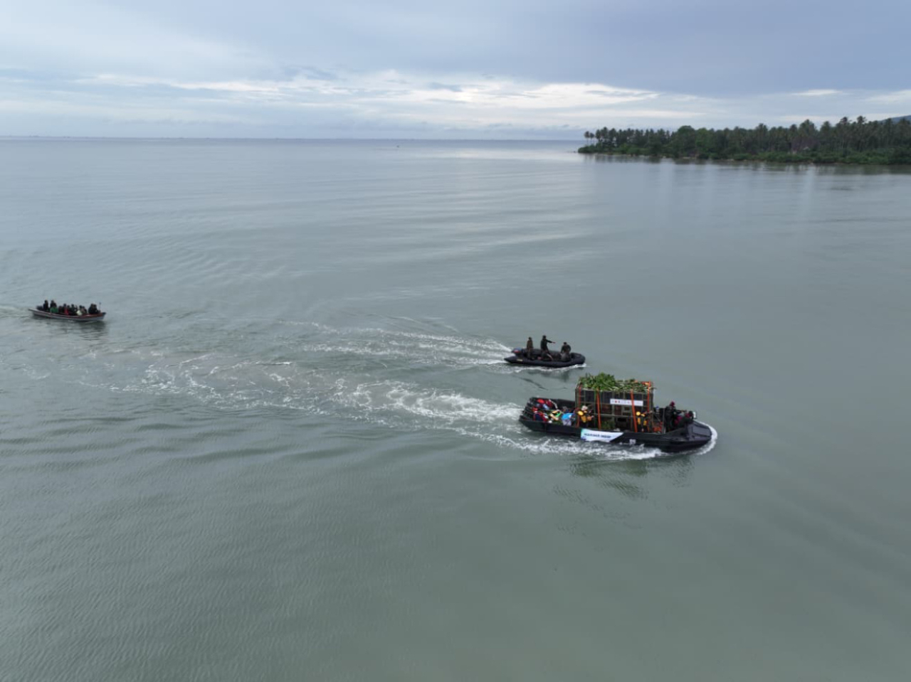 Keberhasilan translokasi Mustofa menjadi langkah penting dalam memperkuat upaya konservasi Badak Jawa. Foto ist