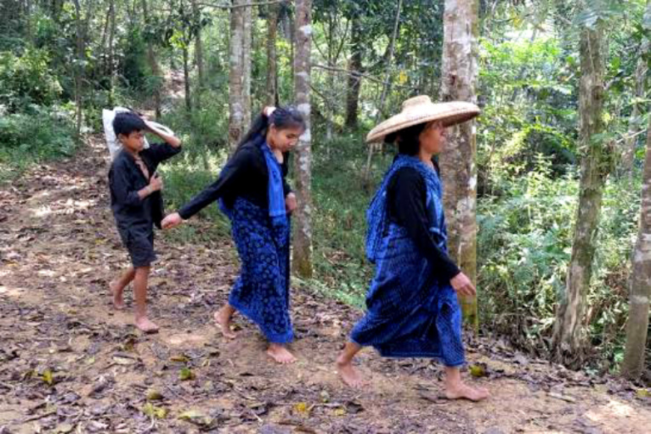 Pemerintah Provinsi Banten menghadirkan terobosan baru untuk mempermudah akses wisata ke kawasan Baduy. Foto ist